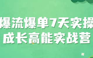 爆流爆单7天实操成长高能实战营