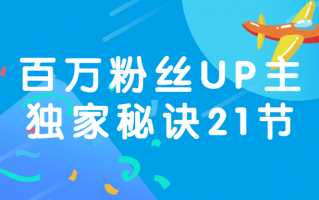 百万粉丝UP主独家秘诀21节（百万粉丝的up主）