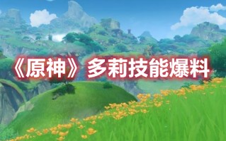 《原神》多莉技能爆料