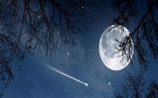 晚上看月亮的经典句子，描写月光的唯美短句