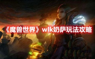 《魔兽世界》wlk奶萨玩法攻略（《魔兽世界》wlk奶萨玩法攻略）