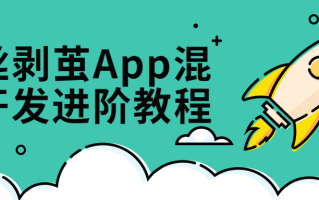 抽丝剥茧App混合开发进阶课