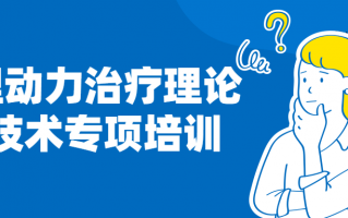 心理动力治疗理论与技术专项培训