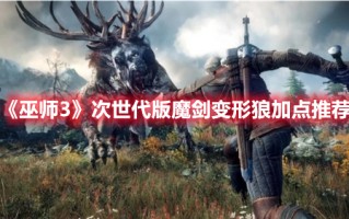 《巫师3》次世代版魔剑变形狼加点推荐