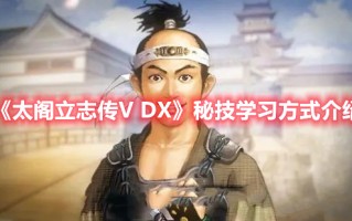 《太阁立志传V DX》秘技学习方式介绍