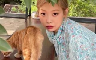 绿色系的头像