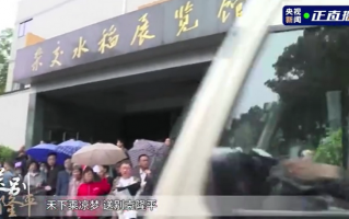 袁隆平最后一次看杂交稻（袁隆平灵车回研究中心）（袁隆平的杂交水稻我们有吃过吗?）
