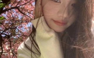 高质量女头