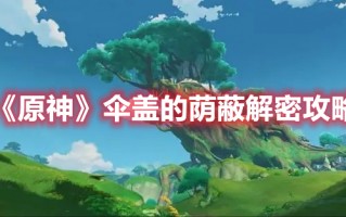 《原神》伞盖的荫蔽解密攻略（原神遮阳伞图纸）