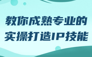 教你成熟专业的实操打造IP技能