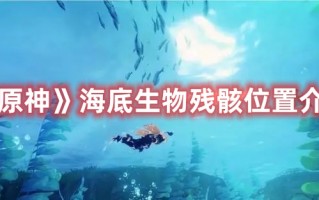 《原神》海底生物残骸位置介绍