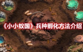 《小小蚁国》兵种孵化方法介绍（地下蚁国怎么孵化兵蚁）
