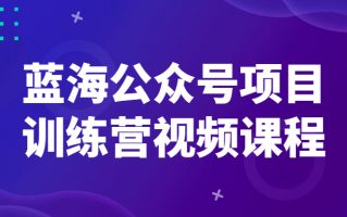 蓝海公众号项目训练营视频课程